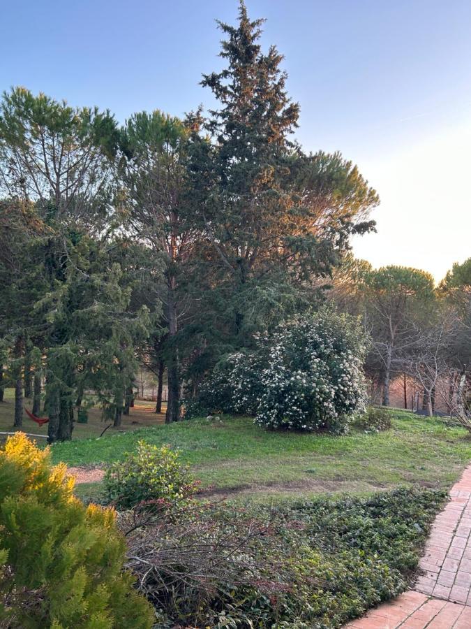 Podere Ceppeti 13 Gabellino Buitenkant foto